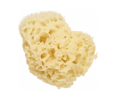 Cartel Eponge Mer Naturel 11Cm