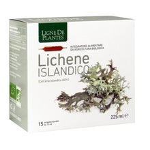 Ligne de Plantes Lichen d'Islande 15x15ml