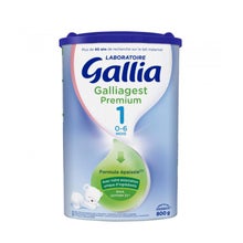 Gallia Galliagest Premium 1er Âge 800g