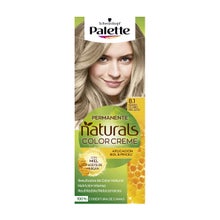 Schwarzkopf Palette Natural Hair Color 8.1 Ice Light Blonde 1pc