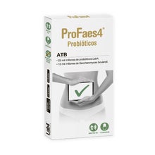 Profaes4 Atb 10 Gélules