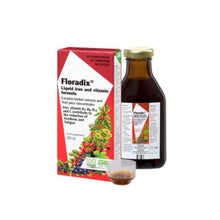 Salus Floradix Fer + Plantes 250ml