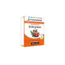 Juvamine Brûle Graisse Thé Vert Guarana 10 Ampoules X 10 Ml