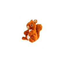 Soframar Cozy Peluches Bouillotte Ecureuil