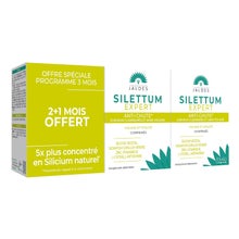 Silettum Expert Anticaída 3x60comp