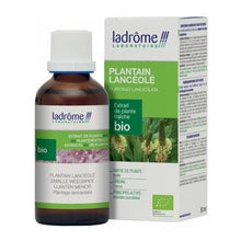 Ladrôme Plantain Lancéolé Extrait de Plante Fraîche 50ml
