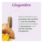 Superdiet Gingembre Bio 45 Gélules