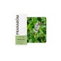Pennyroyal Menthe 10ml Huile Essentielle
