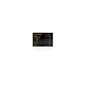 Plactocel Flash 2 ampoules