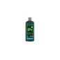 Logona Shampooing Hydratant Aloe Vera 250ml