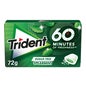 Trident Gomme 60 Minutes Menthe 16uts