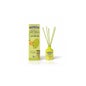 Désodorisant Mikado Melon 40ml de The Fruit Company