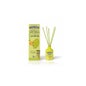 Désodorisant Mikado Melon 40ml de The Fruit Company