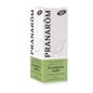 Pranarôm Bio Huile Essentielle Eucalyptus Radié 10 ml