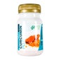 GHF Curcumine plus 60 gélules 550mg