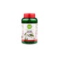 Pharmascience Olivier 200 gélules