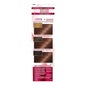 Garnier Color Sensation N°5.52 Châtaigne Cashemire 4 pièces