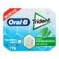 Oral B Trident Peppermint Chewing Gum 10 pièces