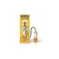 The Fruit Company Désodorisant pour voiture à la mangue 6,5ml