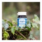 Bonusan Vitamine B12 Active 1000mcg 60comp