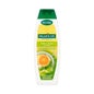 Palmolive Naturals Fresh & Volume Citrus Shampooing 350ml