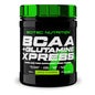 Scitec Nutrition BCAA + Glutamine Xpress Pomme 300g