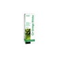 Phytoextract Ginkgo biloba 50ml