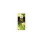 Solnatural Choco Matcha Thé Matcha Lemon Bio 70g