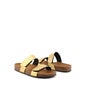 Scholl Greeny 2 Straps Recpet Gold T42 1 Paire