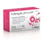 Megalevure Saveur Fraise 10 bâtons