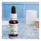Sura Vitasan Huile d'Origan 15 ml