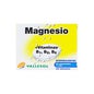Vallesol magnésium et vitamines 24comp effervescent effervescent