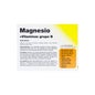Vallesol magnésium et vitamines 24comp effervescent effervescent