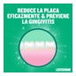 Listerine Protection Dents et Gencives Menthe 500+250ml
