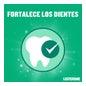 Listerine Protection Dents et Gencives Menthe 500+250ml
