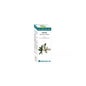 Huile Essentielle Bio niaouli 10ml