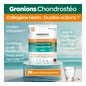 Granions Collagène Marin Chondrostéo+ 280g