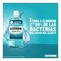 Listerine Bain De bouche Menthol 500+250ml