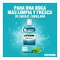 Listerine Bain De bouche Menthol 500+250ml