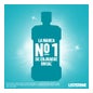 Listerine Bain De bouche Menthol 500+250ml