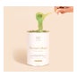 Matcha & Co Matcha Collagen Vanilla 300g