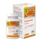 Raab Vitalfood Curcuma Forte Bio 90caps