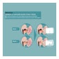 Suavinex Biberon Anticolico T M Silicone M 270 Ml