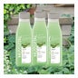 Mussvital Essentials Family Pack Gel de Bain à l'Aloe Vera 3x750ml
