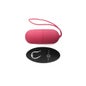 Intense Couples Toys Flippy I Egg Télécommande Rose