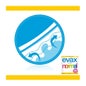 Evax Salva Slip Normal 30uts