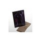 Joya Codera Elastic T Xl