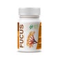 GHF Fucus 500mg 100comp 100comp