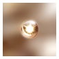 Institut Esthederm Excellage Serum 30ml