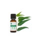 Voshuiles Huile Essentielle D'Eucalyptus Citronné 60ml